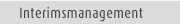 Interimsmanagement